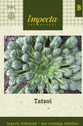 Asiatisk Kål Tatsoi - Brassica rapa Tatsoi