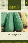 Svampgurka - Luffa aegyptiaca