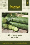 Växthusgurka Cordoba F1 - Cucumis sativus F1 Cordoba