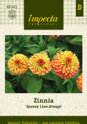 Zinnia, Queeny Lime Orange