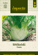 Fänkål, Söt-, Finale, Ekologisk - Foeniculum vulgare Finale