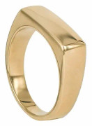 AROCK - TIM Ring Guld