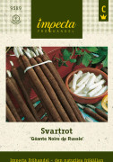 Svartrot Géante Noire de Russie - Scorzonera hispanica