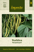 Vaxböna De Rocquencourt - Phaseolus vulgaris (Vaxböna-gr.) De Rocquencourt