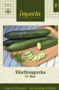 Växthusgurka Max F1 - Cucumis sativus (Slanggurka-gr.) F1 Max