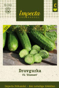 Druvgurka Diamant F1, Ekologisk - Cucumis sativus Diamant F1