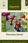 Törnrosas Kjortel