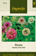 Zinnia, Queeny Lime Red