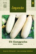 Slanggurka Vit White Wonder - Cucumis sativus White Wonder