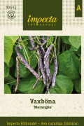 Vaxböna Meraviglia - Phaseolus vulgaris Merveille De Piemonte