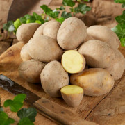 Sättpotatis Queen Anne - Årets Potatis 2026 (Storlek: 3kg)