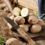 Stubbetorp Potatis / #0