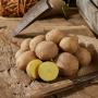 Stubbetorp Potatis / #3