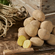 Sättpotatis Taisiya (Storlek: 1kg)