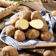 Sättpotatis Timo (Storlek: 1kg)