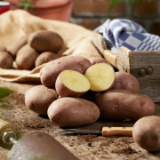 Sättpotatis Asterix (Storlek: 1kg)