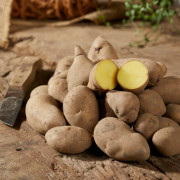 Sättpotatis Mandel (Storlek: 1kg)