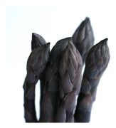 Sparris - Asparagus officinalis Crimson Pacific (Storlek: C2)