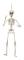 Halloween Skelett 50cm