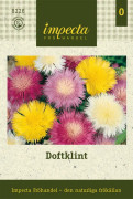 Doftklint - Amberboa moschata