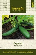 Squash, F1 Dunja, Ekologisk - Cucurbita pepo F1 Dunja