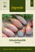 Schalottenlök Zébrune - Allium cepa Zébrune
