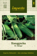 Slanggurka Sherpa F1 - Cucumis sativus Sherpa F1