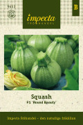 Squash, F1 Round Beauty - Cucurbita pepo F1 Round Beauty