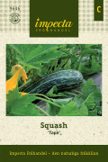 Squash, Tapir - Cucurbita pepo Tapir