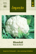 Blomkål Bola de Neve - Brassica oleracea Bola de Neve