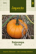 Pumpa, Paj-, Baby Bear - Cucurbita pepo (Styriaca-gr.) Baby Bear
