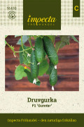 Druvgurka Gunnar F1 - Cucumis sativus Gunnar F1