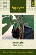 Aubergin Black Beauty - Solanum melongena Black Beauty