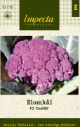 Blomkål Graffiti F1 - Brassica oleracea Graffiti F1
