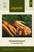 Morot Sommar F1 Harlequin Mix - Daucus carota subsp. sativus Harlequin