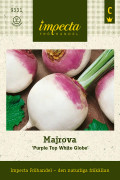Majrova Purple Top White Globe - Brassica rapa Purple Top White Globe