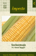 Majs, Socker-, F1 Sweet Nugget - Zea Mays Sweet Nugget