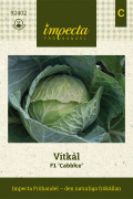 Vitkål F1 Cabbice - Brassica oleracea F1 Cabbice