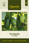 Druvgurka Anulka F1 - Cucumis sativus Anulka F1