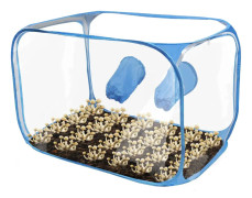 SAB Still Air Box för svampodling och mobilreparationer, XL - 90x 59 x58cm