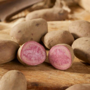 Sättpotatis Heiderot Ekologisk (Storlek: 300g)