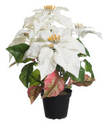 Julstjärna Vit 38cm, Konstgjord