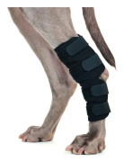 Hasskydd Hund strl M