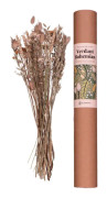 Torkade Blommor Verdant Bohemian
