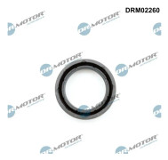 DR.MOTOR AUTOMOTIVE DRM02260 Tätning, tändstiftssäte