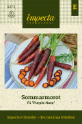 Morot Sommar F1 Purple Haze - Daucus carota subsp. sativus Purple Haze