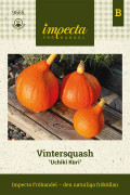 Squash, Vinter-, Hubbardpumpa, Uchiki Kuri - Cucurbita maxima Uchiki Kuri