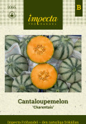 Cantaloupemelon Charentais - Cucumis melo Charentais