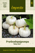 Prydnadspumpa Baby Boo - Cucurbita pepo (Prydnadspumpa-gr.)