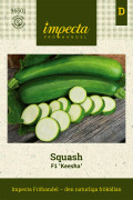 Squash, F1 Keesha - Cucurbita pepo (Zucchini-gr) F1 Keesha